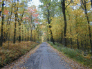 The road up to Mount Davis, lined with spectacular fall colors