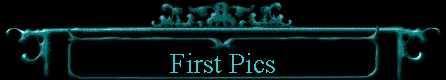 First Pics