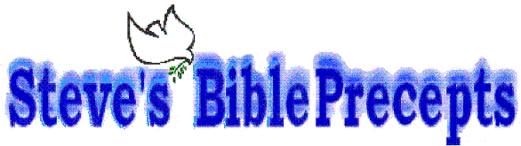 Internet Ministries