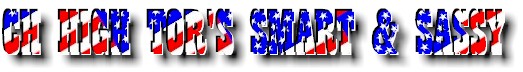 Sassylogo.jpg (22011 bytes)