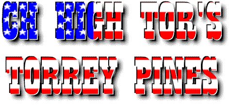 TORREYLOGO.gif (21565 bytes)