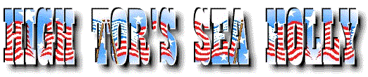 hollylogo.gif (23071 bytes)