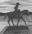 Cowpoke