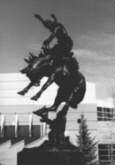 ICU Bronc Twister