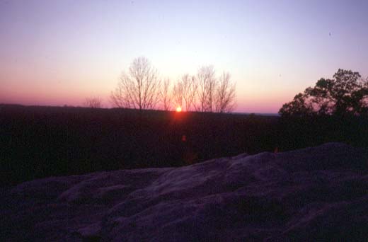 sunset520x342.jpg