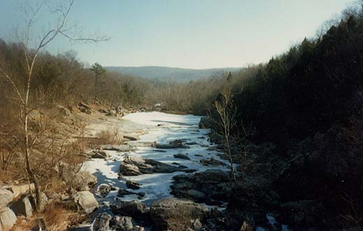 Stout Creek