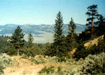 scene1.jpg