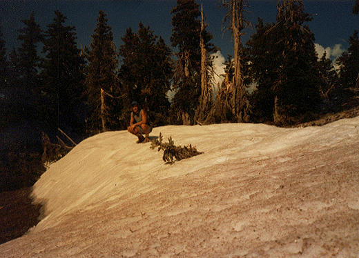 blues snowbank