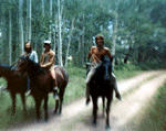 cowboys