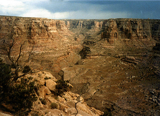 dark canyon