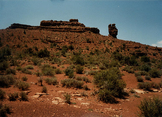 squawrock520x376.jpg