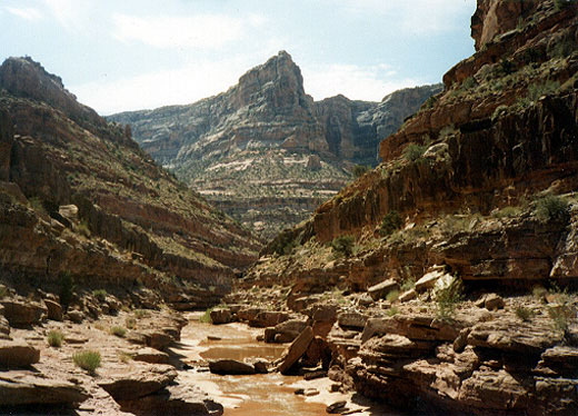steepwalls520x374.jpg