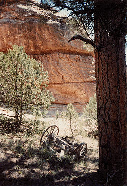 wagon253x370.jpg