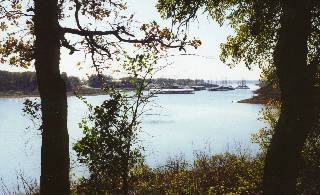 View of Marina