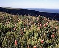 South African Hiking Small Pictures