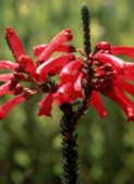 South African Hiking Pictures