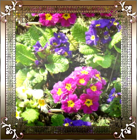 Fancy Gradient Frame