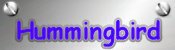 hummingbird