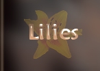 lilies