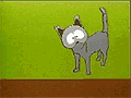 No Kitty!!