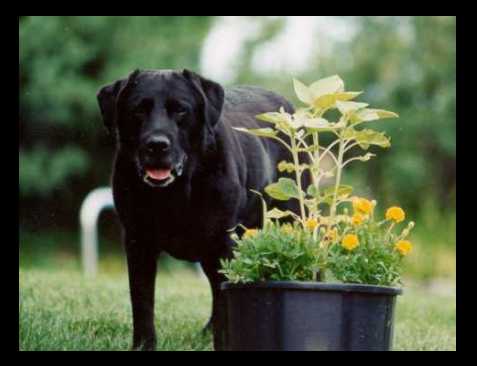 Hudson