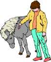 So you want a pony?