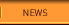 In the News