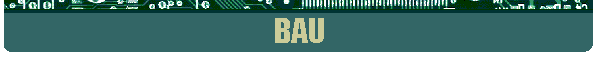 BAU