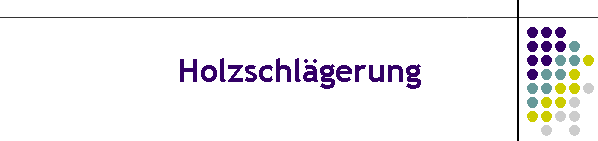 Holzschlgerung