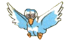Quack!!