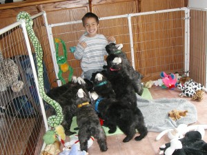 Brandon and Puppies