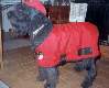 Buffy Dressed To Go Out