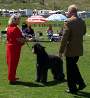 Lynette and Max At The SCBDFC Specialty