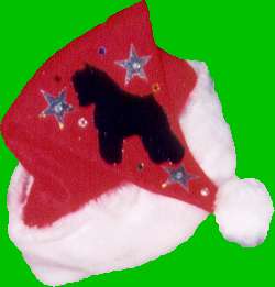 Christmas Hat # 1