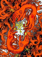 ++"SNNNNS" By Teru++