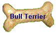 Bull Terrier