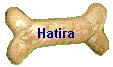Hatira