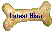 Latest Hisar