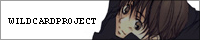 wild card project