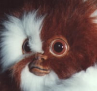 go to Gizmo Ze Mogwai
