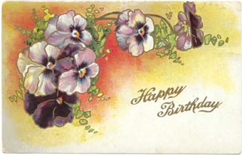 Pansy Postcard