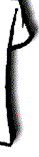 lright.gif (2100 bytes)