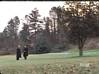 tlg25.jpg (71130 bytes)