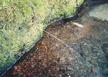 The mossy rock is spouting the water in the Kanomata.
