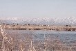 The Agano River in winter.