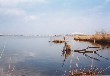 Our soccer stadium and the Toyano Lagoon,