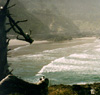 On the Oregon Coast