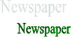 Newspaper