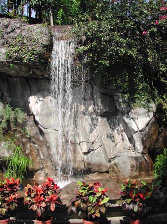 DSCN0326