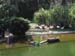 DSCN0330